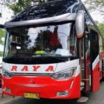 Bus Raya